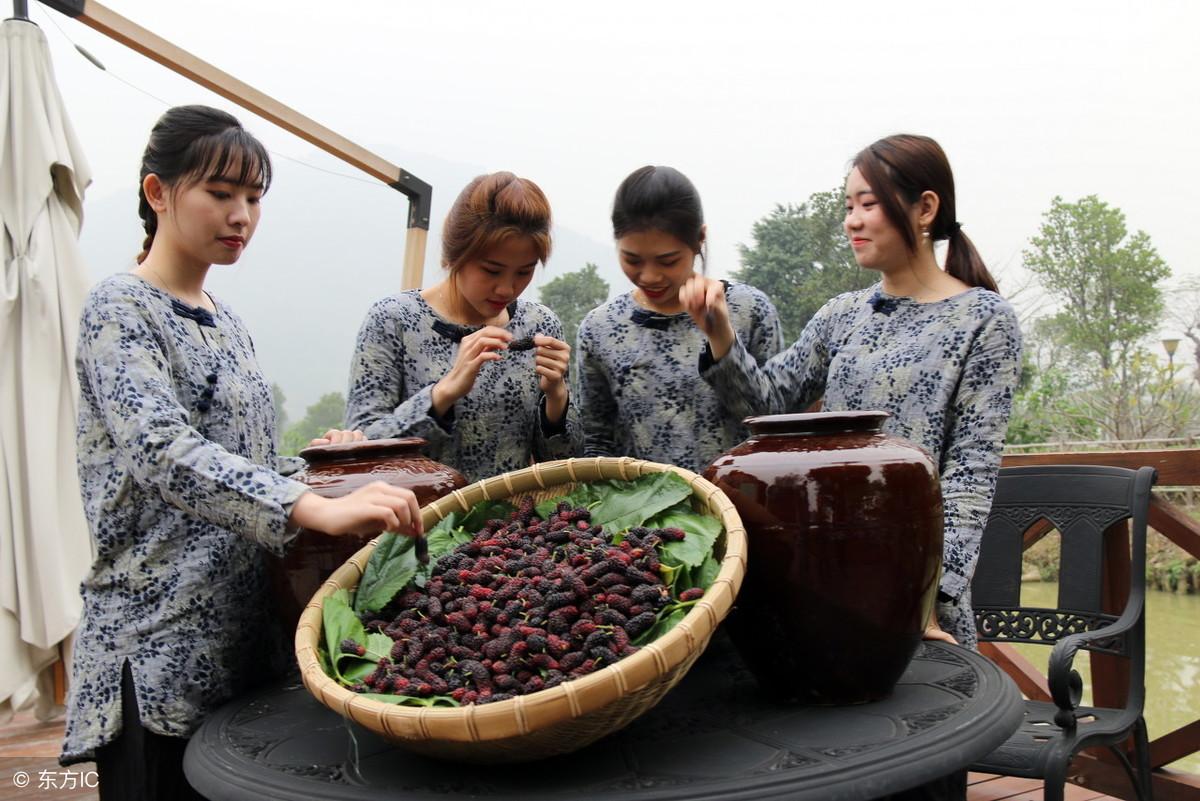 桑葚枸杞泡酒的配方有哪些（农村的桑葚吃不完，如何制作桑葚酒？）