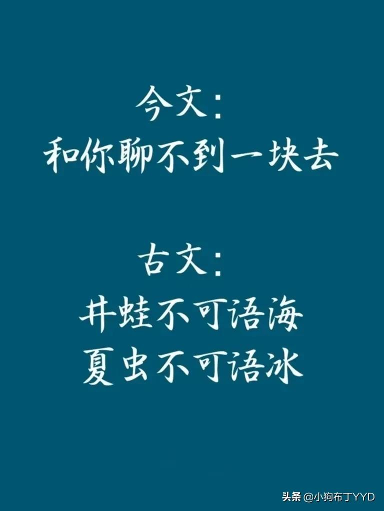 |夏虫不可语冰,井蛙不可语海