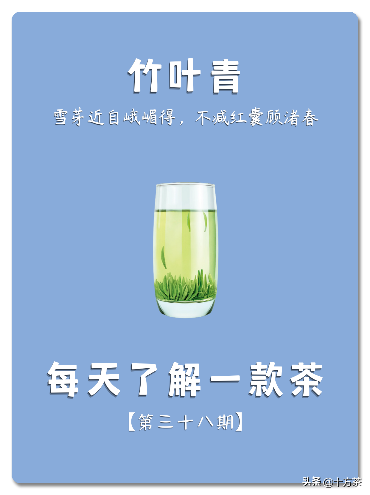 竹叶青属于什么茶种？是绿茶吗？